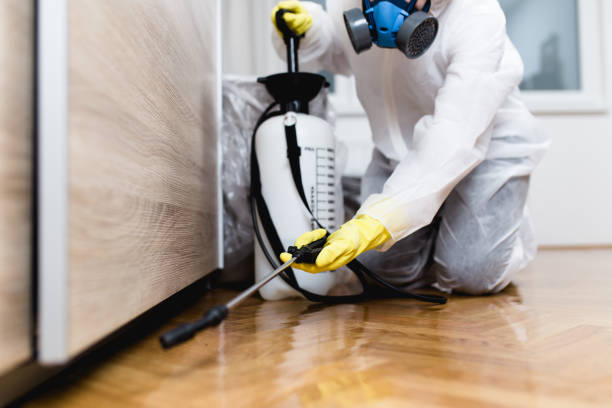 Best Pest Control Near Me  in El Cerrito, CA