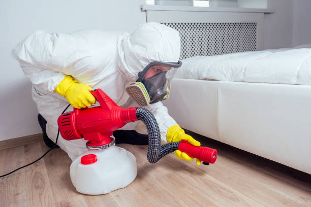 Best Wildlife Control Services  in El Cerrito, CA