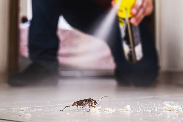 Best Pest Control for Businesses  in El Cerrito, CA