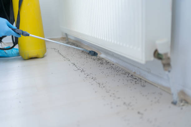 Best Residential Pest Control  in El Cerrito, CA